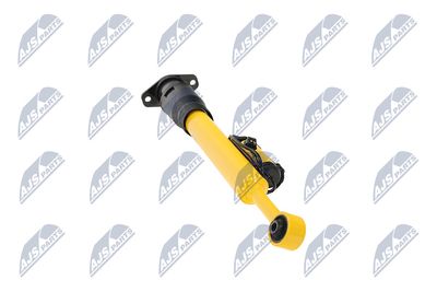 AMORTIZOR NTY ACH123 15