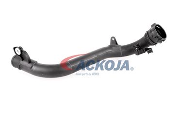 FURTUN EAR SUPRAALIMENTARE ACKOJA A380387 57