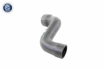 FURTUN EAR SUPRAALIMENTARE VAICO V103826 3