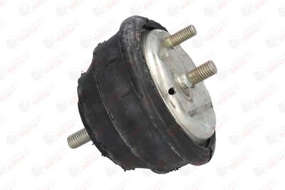SUPORT MOTOR BIRTH 50417 11