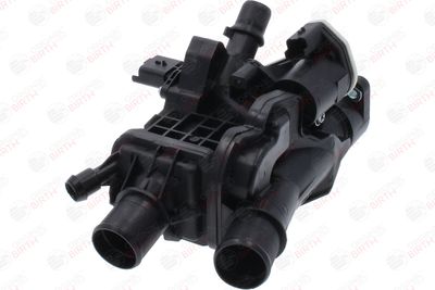 FLANSA LICHID RACIRE BIRTH 81801 11