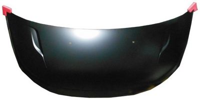 Capota motor MTR 11741704