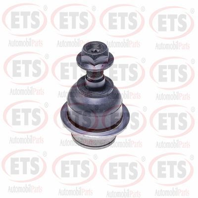 Шарнири ETS 06.BJ.452
