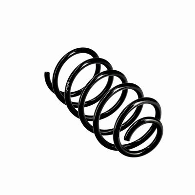 ARC SPIRAL EIBACH R10814 11