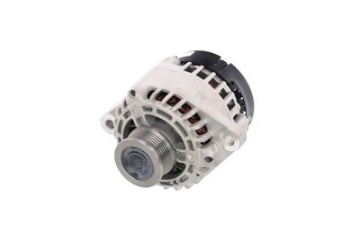 GENERATOR / ALTERNATOR REMANTE 011003000406R 65