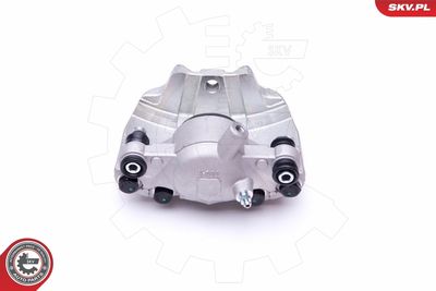 Brake Caliper 44SKV212