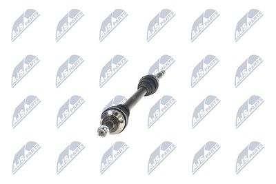 PLANETARA NTY NPWPE101 18