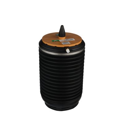 LUFTFEDER FAHRWERK Arnott A3891 51