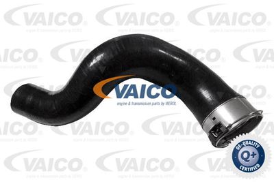Трубка нагнетаемого воздуха VAICO V46-1398 для FIAT TALENTO