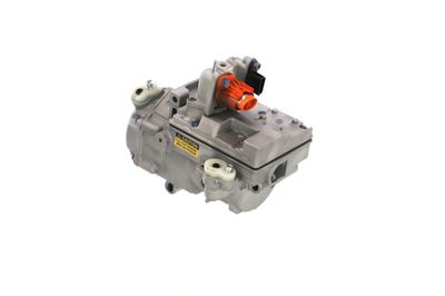 COMPRESOR CLIMATIZARE REMANTE 005001000330R 24