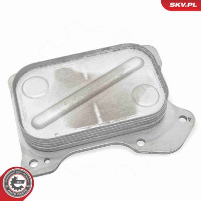 RADIATOR ULEI ULEI MOTOR ESEN SKV 31SKV309 1