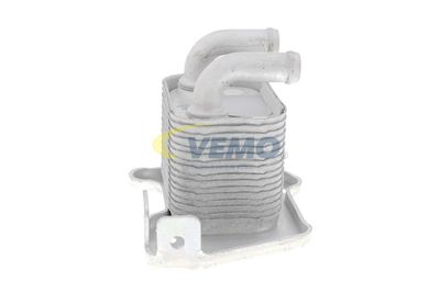 RADIATOR ULEI ULEI MOTOR VEMO V40602105 48