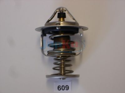 Thermostat, Kühlmittel