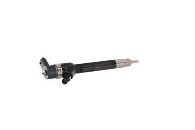 INJECTOR REMANTE 002003001713R 35