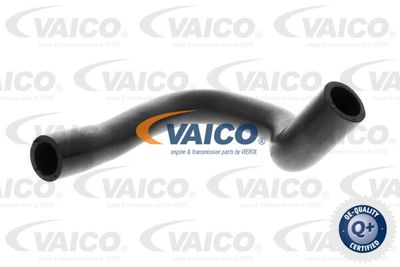 Шланг, вентиляция картера VAICO V24-1291 для FIAT LINEA