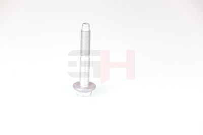 SURUB CAPAT DE AX GH GH392528 31
