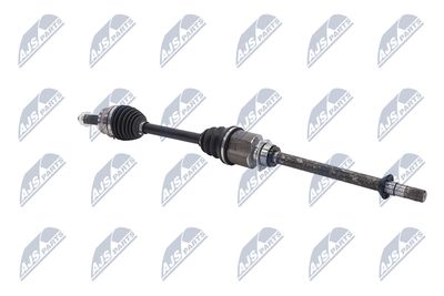 PLANETARA NTY NPWFT100 31