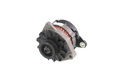 GENERATOR / ALTERNATOR REMANTE 011003000080R 7