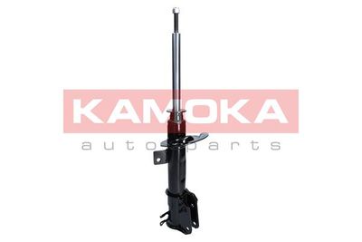 Shock Absorber 2000372