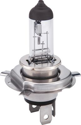 GLüHLAMPE FERNSCHEINWERFER