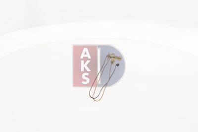 EXPANSIONSVENTIL KLIMAANLAGE AKS DASIS 840014N 12
