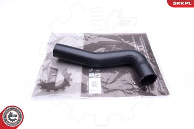 FURTUN EAR SUPRAALIMENTARE