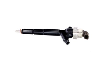 INJECTOR REMANTE 002003000192R 13