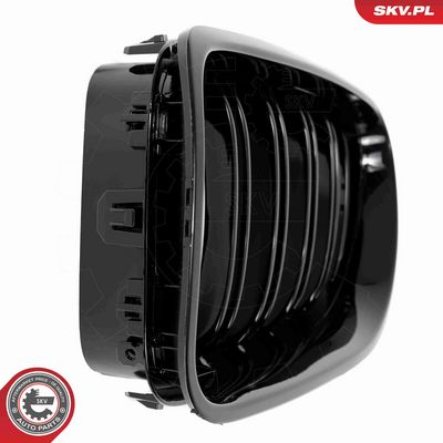 GRILA RADIATOR ESEN SKV 66SKV206 8