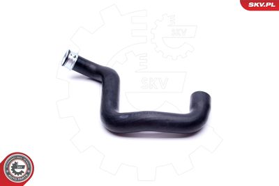 Radiator Hose 43SKV665