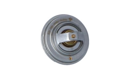 TERMOSTAT LICHID RACIRE NRF 725067 45