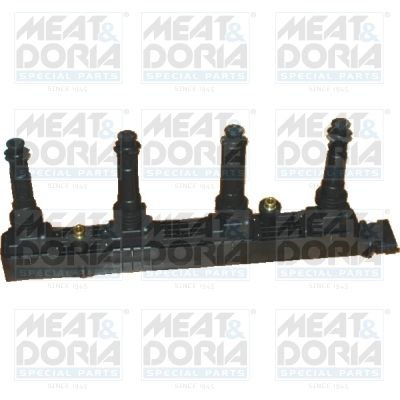 Ignition Coil 10523