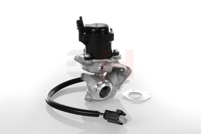 SUPAPA EGR GH GH732566 18