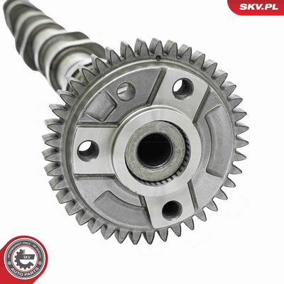 AX CU CAME ESEN SKV 80SKV012 3