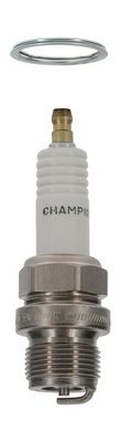 BUJII CHAMPION CCH569