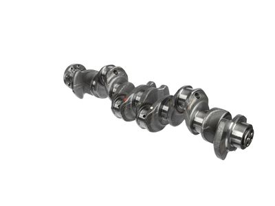 ARBORE COTIT ET ENGINETEAM HK0211 21