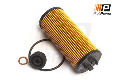 alyvos filtras 1F0163 ProfiPower