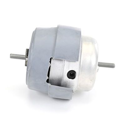 LAGERUNG MOTOR DELPHI TEM288 2