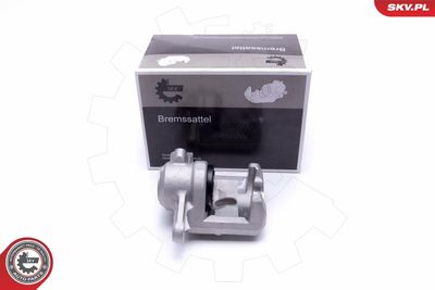 Brake Caliper 42SKV443