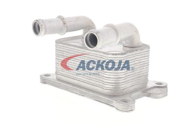 RADIATOR ULEI ULEI MOTOR ACKOJA A38600004 18