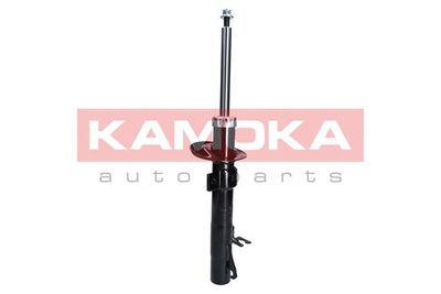 Shock Absorber 2000260