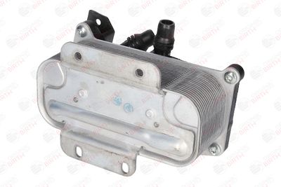 RADIATOR ULEI ULEI MOTOR BIRTH 80757 8