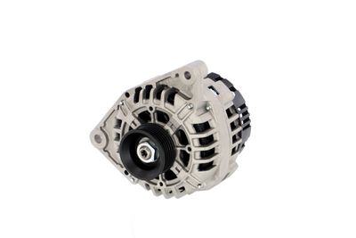 GENERATOR / ALTERNATOR REMANTE 011003000439R 65