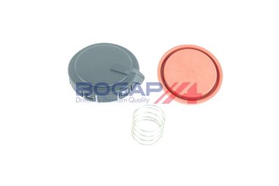 VENTIL AERISIRE CARTER BOGAP B1116100 1