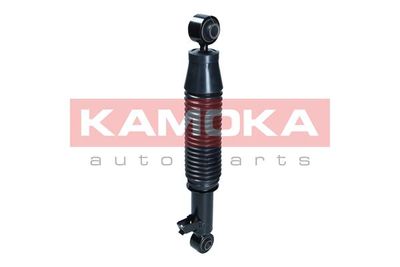 Shock Absorber 2001211