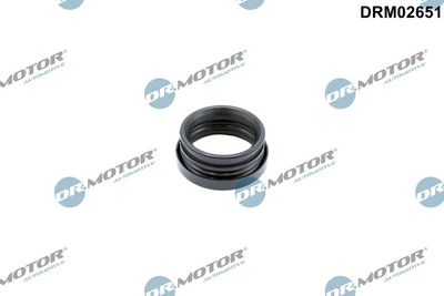 Joint, manchon de vanne papillon Dr.Motor Automotive