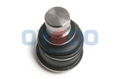 Šarnyras / girgždukas