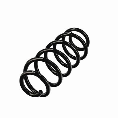 ARC SPIRAL EIBACH R11107 3