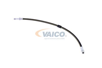 FURTUN FRANA VAICO V300547 17