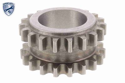 ROATA DINTATA ARBORE COTIT