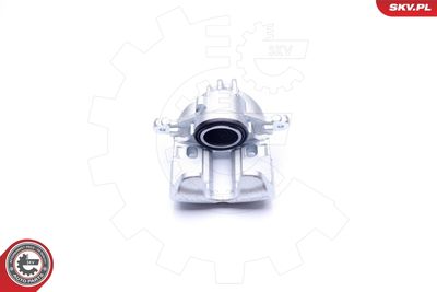 Brake Caliper 42SKV781